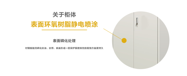 氣瓶柜技術參數與產品細節(圖1) 氣瓶柜技術參數與產品細節(圖1)